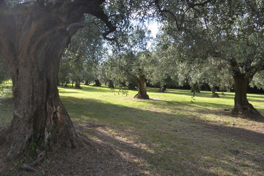 La Cipriana Βίλα Castagneto Carducci Εξωτερικό φωτογραφία