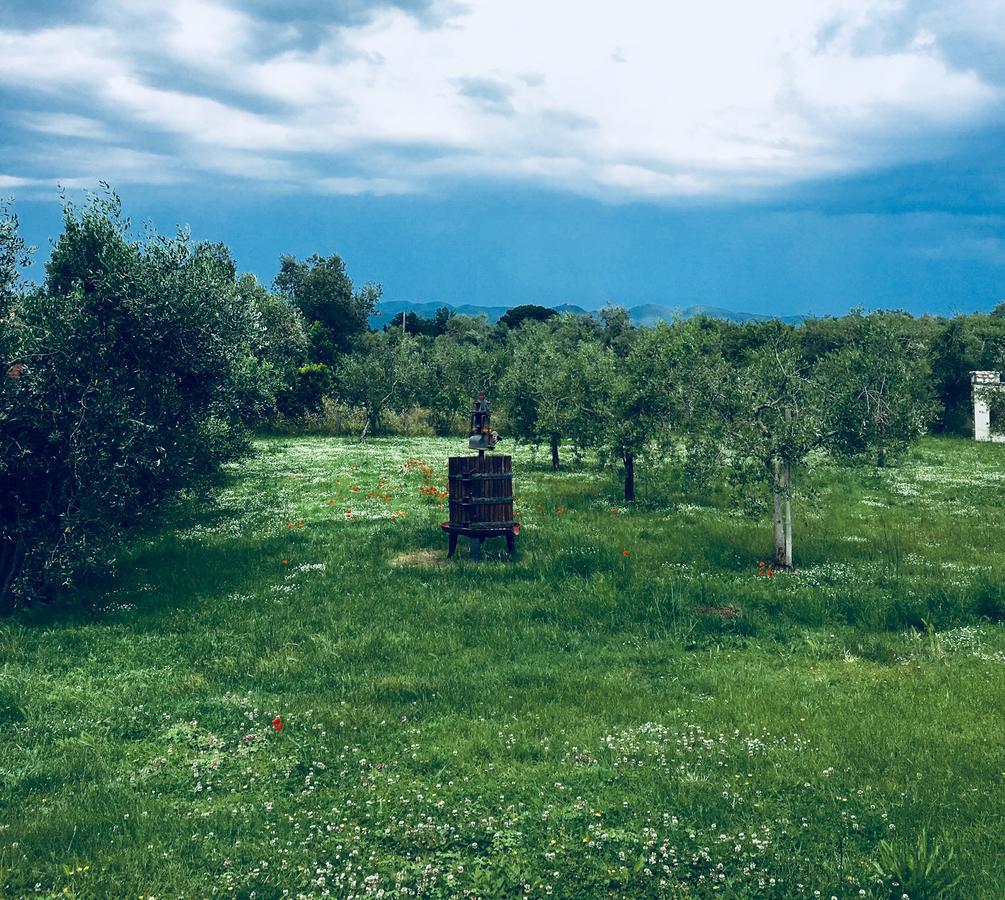 La Cipriana Βίλα Castagneto Carducci Εξωτερικό φωτογραφία